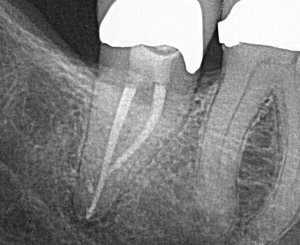 Case-Study-3-1.jpg Case-Study-3-1.jpg